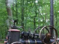 фотография de PAUCOURT - FETE de la FORET 2010