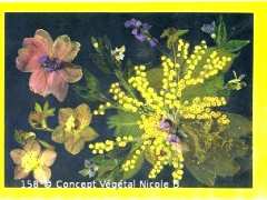 picture of CONCEPT VEGETAL | Créations artisanales & florales Nicole B.