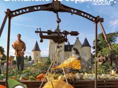 фотография de Fête de la Citrouille